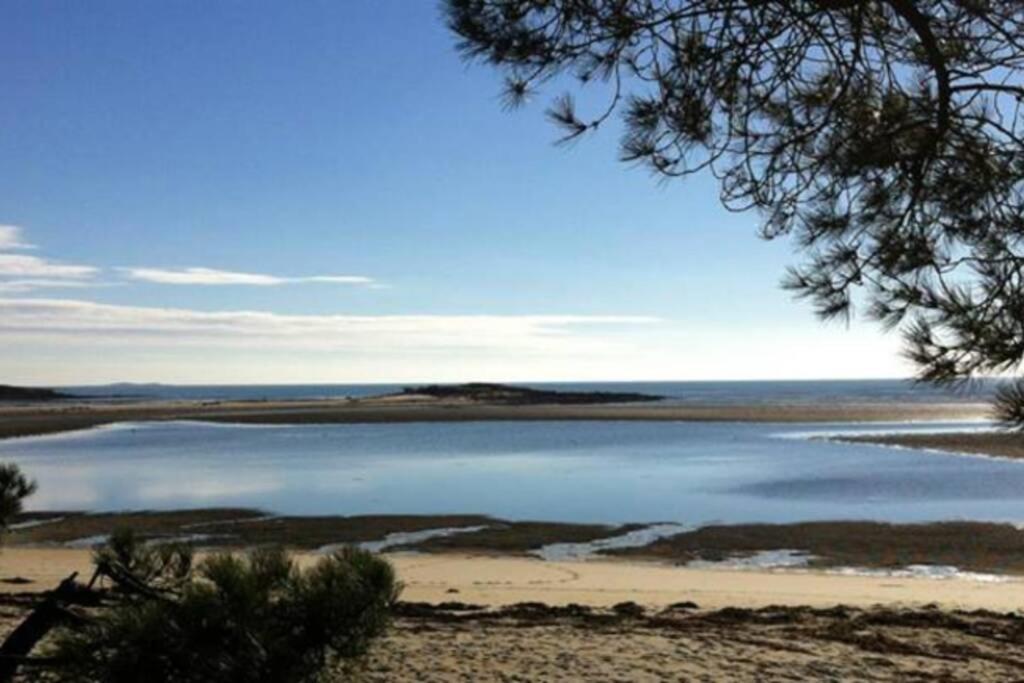 Maison avec jardin clos. Animaux acceptés - Wifi - Proche plages de la Trinité sur Mer et Carnac Exterior foto
