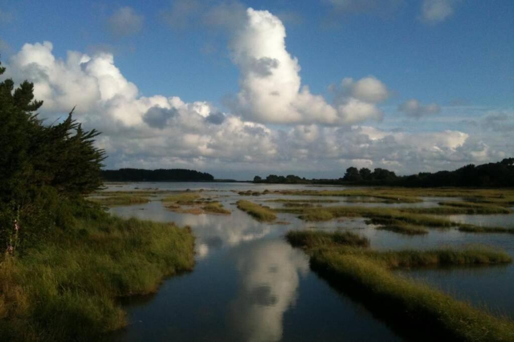 Maison avec jardin clos. Animaux acceptés - Wifi - Proche plages de la Trinité sur Mer et Carnac Exterior foto